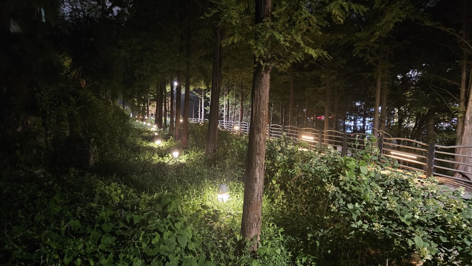 2025 남부대로 산책로